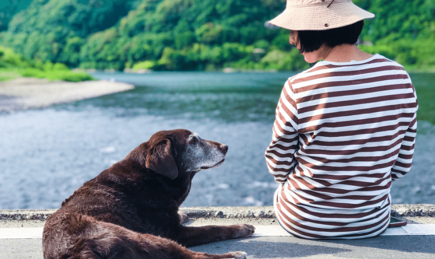 女性と犬が座っている写真