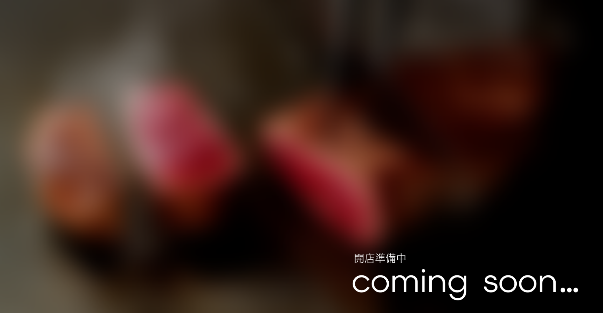 料理写真